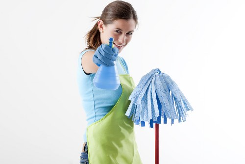 Domestic cleaner working in a Battersea living room