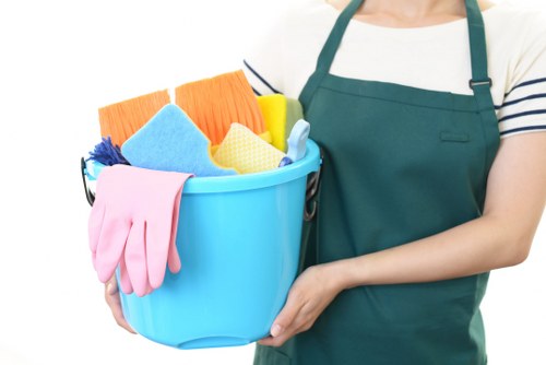 Professional oven cleaning service for a Battersea kitchen