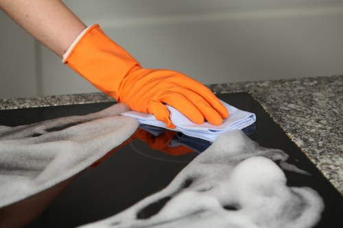 Professional oven cleaning service in Battersea showing careful kitchen appliance care
