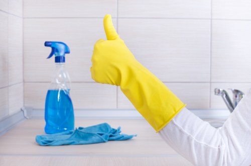 Detailed oven cleaning in Battersea with focus on hygiene and appliance maintenance