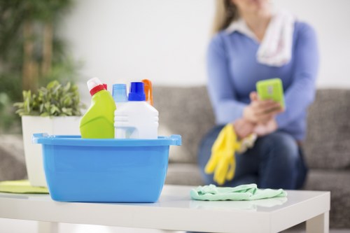 Residential window cleaning for a Battersea flat or townhouse