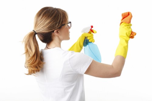 Deep cleaning carpets in a Battersea living room