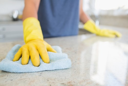 Cleaning products and tools arranged for oven cleaning