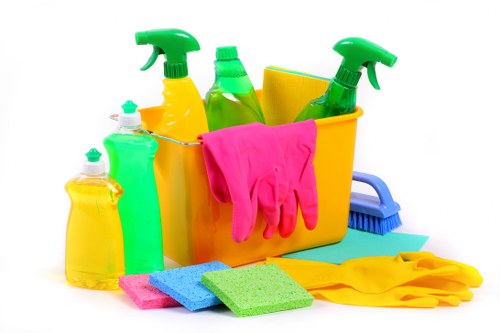 Professional domestic cleaning service in a Battersea home